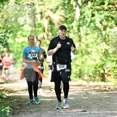 06.10.2024 - Bramfelder Halbmarathon 2024 Dr. Thomas Lammeyer http://msf.ph/oto/7342019 06.10.2024 10:52:14 Laufen 248, 540 meine-sportfotos.de