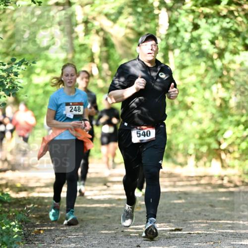 06.10.2024 - Bramfelder Halbmarathon 2024 Dr. Thomas Lammeyer http://msf.ph/oto/7342025 06.10.2024 10:52:15 Laufen 248, 540 meine-sportfotos.de