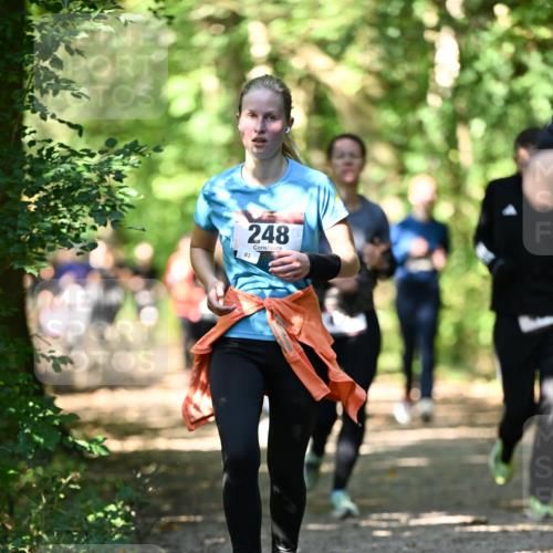 06.10.2024 - Bramfelder Halbmarathon 2024 Dr. Thomas Lammeyer http://msf.ph/oto/7342042 06.10.2024 10:52:18 Laufen 248, 83 meine-sportfotos.de