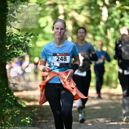 06.10.2024 - Bramfelder Halbmarathon 2024 Dr. Thomas Lammeyer http://msf.ph/oto/7342044 06.10.2024 10:52:18 Laufen 248, 83 meine-sportfotos.de