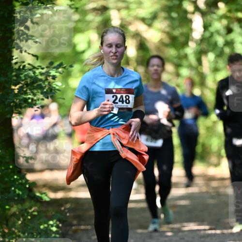 06.10.2024 - Bramfelder Halbmarathon 2024 Dr. Thomas Lammeyer http://msf.ph/oto/7342045 06.10.2024 10:52:18 Laufen 33, 248 meine-sportfotos.de