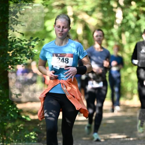 06.10.2024 - Bramfelder Halbmarathon 2024 Dr. Thomas Lammeyer http://msf.ph/oto/7342047 06.10.2024 10:52:18 Laufen 248, 83 meine-sportfotos.de