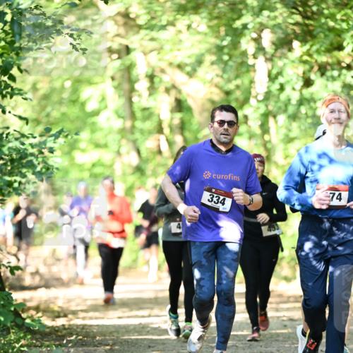06.10.2024 - Bramfelder Halbmarathon 2024 Dr. Thomas Lammeyer http://msf.ph/oto/7342055 06.10.2024 10:52:23 Laufen 334, 74 meine-sportfotos.de