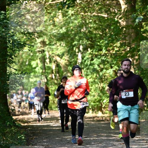 06.10.2024 - Bramfelder Halbmarathon 2024 Dr. Thomas Lammeyer http://msf.ph/oto/7342092 06.10.2024 10:52:32 Laufen 478, 23 meine-sportfotos.de