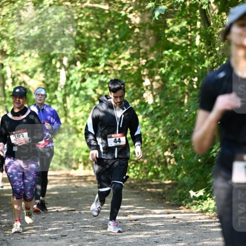 06.10.2024 - Bramfelder Halbmarathon 2024 Dr. Thomas Lammeyer http://msf.ph/oto/7342125 06.10.2024 10:52:38 Laufen 383, 44 meine-sportfotos.de