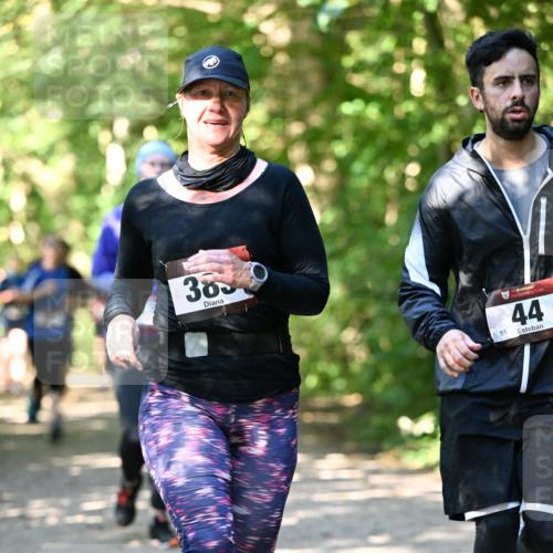 06.10.2024 - Bramfelder Halbmarathon 2024 Dr. Thomas Lammeyer http://msf.ph/oto/7342159 06.10.2024 10:52:41 Laufen 383, 55, 44 meine-sportfotos.de