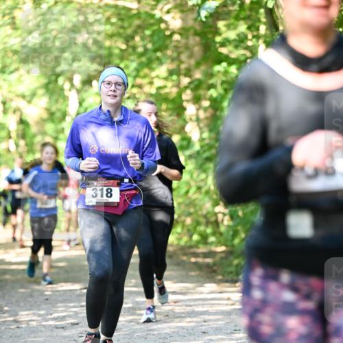 06.10.2024 - Bramfelder Halbmarathon 2024 Dr. Thomas Lammeyer http://msf.ph/oto/7342163 06.10.2024 10:52:41 Laufen 318, 230 meine-sportfotos.de