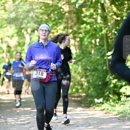 06.10.2024 - Bramfelder Halbmarathon 2024 Dr. Thomas Lammeyer http://msf.ph/oto/7342166 06.10.2024 10:52:42 Laufen 318 meine-sportfotos.de