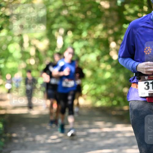 06.10.2024 - Bramfelder Halbmarathon 2024 Dr. Thomas Lammeyer http://msf.ph/oto/7342183 06.10.2024 10:52:44 Laufen 3, 31, 230 meine-sportfotos.de