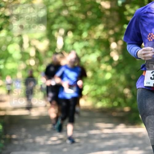 06.10.2024 - Bramfelder Halbmarathon 2024 Dr. Thomas Lammeyer http://msf.ph/oto/7342185 06.10.2024 10:52:44 Laufen 230, 3 meine-sportfotos.de
