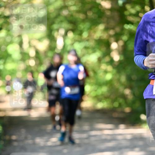 06.10.2024 - Bramfelder Halbmarathon 2024 Dr. Thomas Lammeyer http://msf.ph/oto/7342186 06.10.2024 10:52:44 Laufen  meine-sportfotos.de