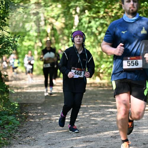 06.10.2024 - Bramfelder Halbmarathon 2024 Dr. Thomas Lammeyer http://msf.ph/oto/7342246 06.10.2024 10:52:51 Laufen 468, 556 meine-sportfotos.de