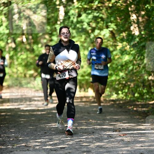 06.10.2024 - Bramfelder Halbmarathon 2024 Dr. Thomas Lammeyer http://msf.ph/oto/7342267 06.10.2024 10:52:53 Laufen 470, 417 meine-sportfotos.de