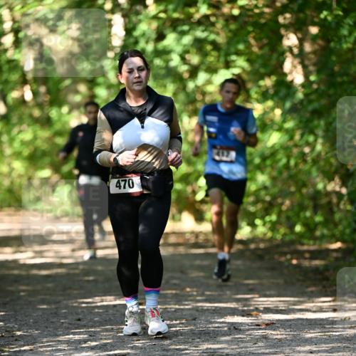 06.10.2024 - Bramfelder Halbmarathon 2024 Dr. Thomas Lammeyer http://msf.ph/oto/7342276 06.10.2024 10:52:54 Laufen 470 meine-sportfotos.de