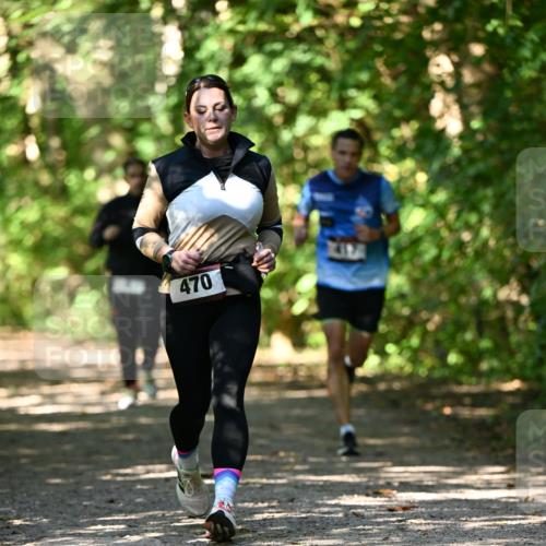 06.10.2024 - Bramfelder Halbmarathon 2024 Dr. Thomas Lammeyer http://msf.ph/oto/7342278 06.10.2024 10:52:54 Laufen 470 meine-sportfotos.de