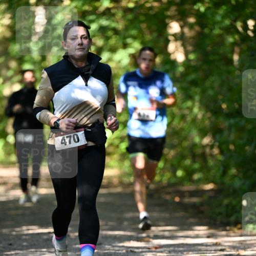06.10.2024 - Bramfelder Halbmarathon 2024 Dr. Thomas Lammeyer http://msf.ph/oto/7342287 06.10.2024 10:52:55 Laufen 470 meine-sportfotos.de