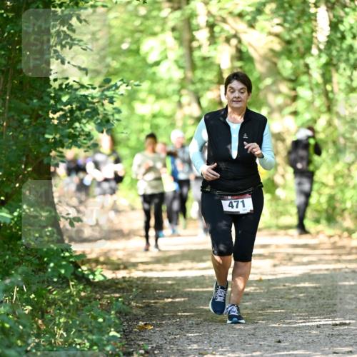 06.10.2024 - Bramfelder Halbmarathon 2024 Dr. Thomas Lammeyer http://msf.ph/oto/7342331 06.10.2024 10:53:01 Laufen 471, 223 meine-sportfotos.de