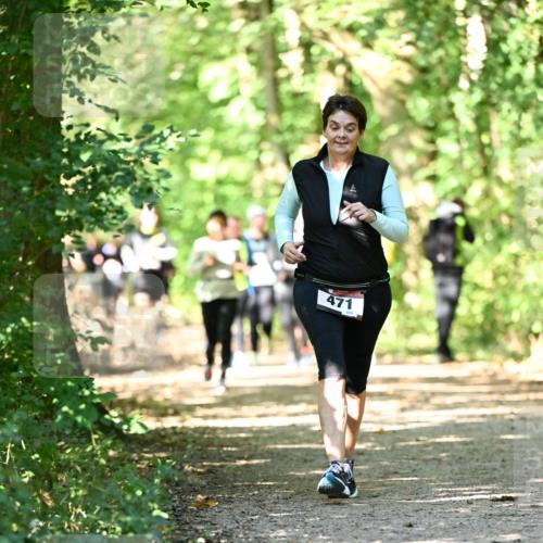 06.10.2024 - Bramfelder Halbmarathon 2024 Dr. Thomas Lammeyer http://msf.ph/oto/7342332 06.10.2024 10:53:01 Laufen 471, 223 meine-sportfotos.de