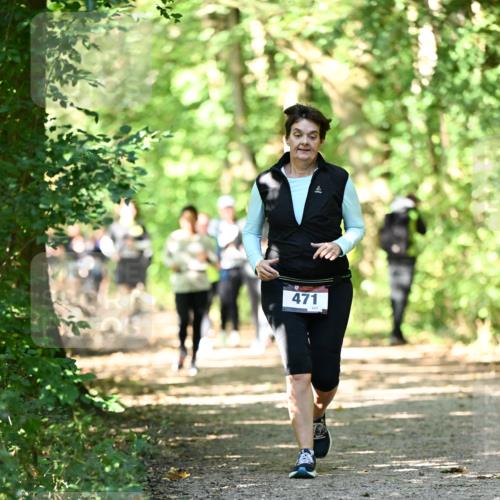 06.10.2024 - Bramfelder Halbmarathon 2024 Dr. Thomas Lammeyer http://msf.ph/oto/7342334 06.10.2024 10:53:02 Laufen 471 meine-sportfotos.de