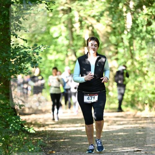 06.10.2024 - Bramfelder Halbmarathon 2024 Dr. Thomas Lammeyer http://msf.ph/oto/7342336 06.10.2024 10:53:02 Laufen 471 meine-sportfotos.de