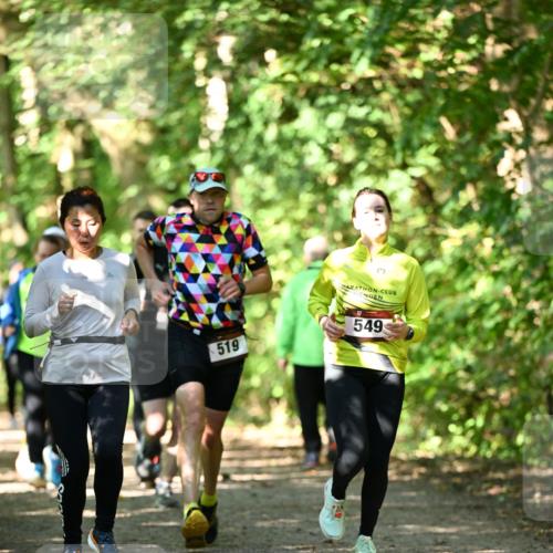 06.10.2024 - Bramfelder Halbmarathon 2024 Dr. Thomas Lammeyer http://msf.ph/oto/7342368 06.10.2024 10:53:09 Laufen 519, 549 meine-sportfotos.de