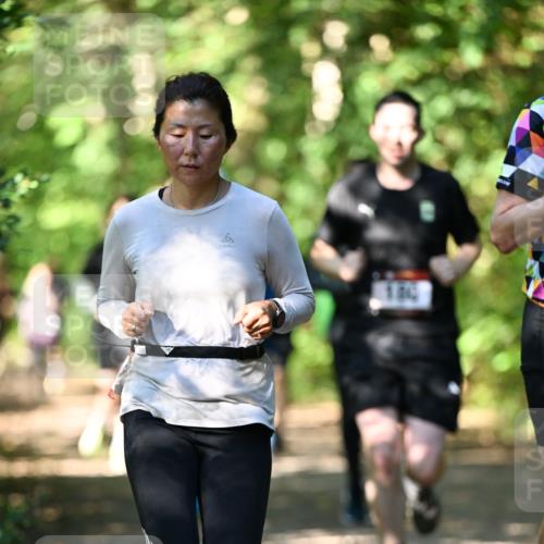 06.10.2024 - Bramfelder Halbmarathon 2024 Dr. Thomas Lammeyer http://msf.ph/oto/7342402 06.10.2024 10:53:13 Laufen 100 meine-sportfotos.de
