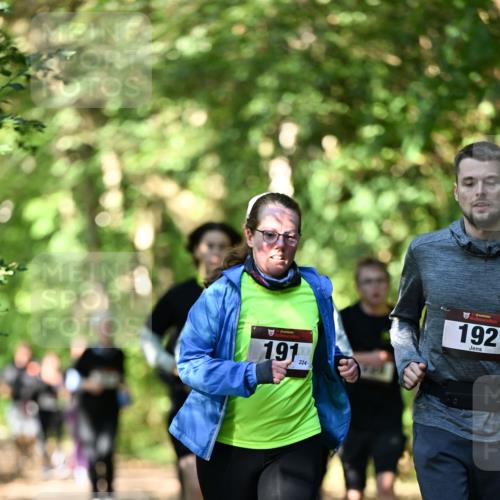 06.10.2024 - Bramfelder Halbmarathon 2024 Dr. Thomas Lammeyer http://msf.ph/oto/7342434 06.10.2024 10:53:17 Laufen 191, 224, 192 meine-sportfotos.de