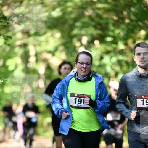 06.10.2024 - Bramfelder Halbmarathon 2024 Dr. Thomas Lammeyer http://msf.ph/oto/7342437 06.10.2024 10:53:17 Laufen 191, 19 meine-sportfotos.de