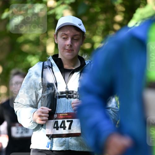 06.10.2024 - Bramfelder Halbmarathon 2024 Dr. Thomas Lammeyer http://msf.ph/oto/7342467 06.10.2024 10:53:20 Laufen 33, 447 meine-sportfotos.de