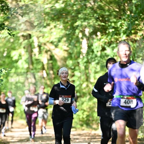 06.10.2024 - Bramfelder Halbmarathon 2024 Dr. Thomas Lammeyer http://msf.ph/oto/7342473 06.10.2024 10:53:22 Laufen 229, 2, 408 meine-sportfotos.de