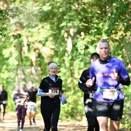 06.10.2024 - Bramfelder Halbmarathon 2024 Dr. Thomas Lammeyer http://msf.ph/oto/7342474 06.10.2024 10:53:22 Laufen 229, 23, 408 meine-sportfotos.de