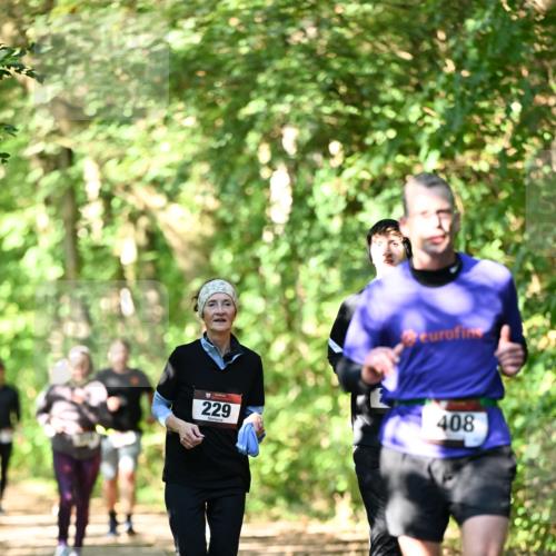 06.10.2024 - Bramfelder Halbmarathon 2024 Dr. Thomas Lammeyer http://msf.ph/oto/7342477 06.10.2024 10:53:22 Laufen 229, 408 meine-sportfotos.de