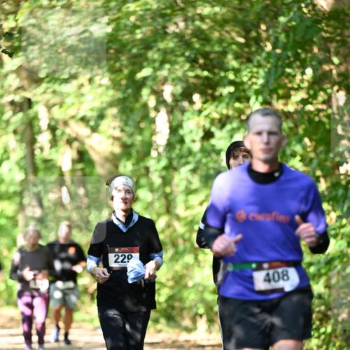 06.10.2024 - Bramfelder Halbmarathon 2024 Dr. Thomas Lammeyer http://msf.ph/oto/7342480 06.10.2024 10:53:23 Laufen 220, 408 meine-sportfotos.de