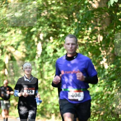 06.10.2024 - Bramfelder Halbmarathon 2024 Dr. Thomas Lammeyer http://msf.ph/oto/7342482 06.10.2024 10:53:23 Laufen 229, 408 meine-sportfotos.de