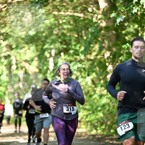 06.10.2024 - Bramfelder Halbmarathon 2024 Dr. Thomas Lammeyer http://msf.ph/oto/7342537 06.10.2024 10:53:31 Laufen 315, 128, 123 meine-sportfotos.de