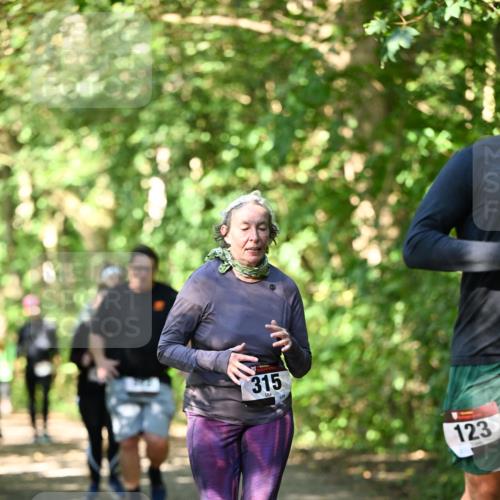 06.10.2024 - Bramfelder Halbmarathon 2024 Dr. Thomas Lammeyer http://msf.ph/oto/7342545 06.10.2024 10:53:32 Laufen 315, 123 meine-sportfotos.de