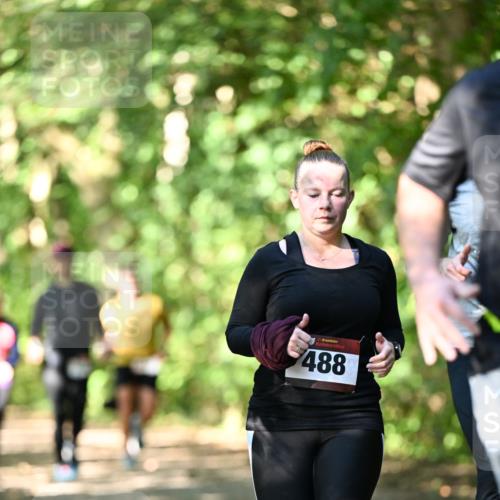 06.10.2024 - Bramfelder Halbmarathon 2024 Dr. Thomas Lammeyer http://msf.ph/oto/7342590 06.10.2024 10:53:37 Laufen 33, 488 meine-sportfotos.de