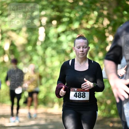 06.10.2024 - Bramfelder Halbmarathon 2024 Dr. Thomas Lammeyer http://msf.ph/oto/7342592 06.10.2024 10:53:37 Laufen 33, 488 meine-sportfotos.de
