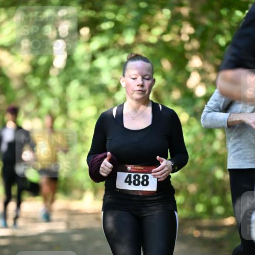 06.10.2024 - Bramfelder Halbmarathon 2024 Dr. Thomas Lammeyer http://msf.ph/oto/7342596 06.10.2024 10:53:38 Laufen 33, 488 meine-sportfotos.de