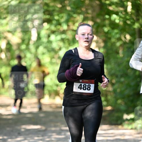 06.10.2024 - Bramfelder Halbmarathon 2024 Dr. Thomas Lammeyer http://msf.ph/oto/7342608 06.10.2024 10:53:38 Laufen 488 meine-sportfotos.de