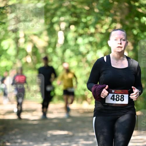 06.10.2024 - Bramfelder Halbmarathon 2024 Dr. Thomas Lammeyer http://msf.ph/oto/7342610 06.10.2024 10:53:39 Laufen 6, 488 meine-sportfotos.de
