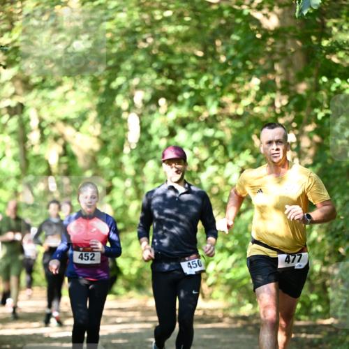 06.10.2024 - Bramfelder Halbmarathon 2024 Dr. Thomas Lammeyer http://msf.ph/oto/7342635 06.10.2024 10:53:42 Laufen 452, 450, 477, 26 meine-sportfotos.de