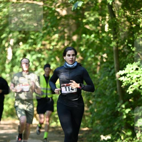06.10.2024 - Bramfelder Halbmarathon 2024 Dr. Thomas Lammeyer http://msf.ph/oto/7342686 06.10.2024 10:53:49 Laufen 114 meine-sportfotos.de