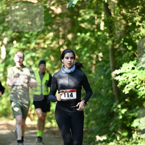 06.10.2024 - Bramfelder Halbmarathon 2024 Dr. Thomas Lammeyer http://msf.ph/oto/7342688 06.10.2024 10:53:49 Laufen 114 meine-sportfotos.de