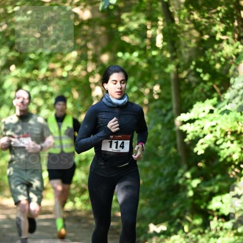 06.10.2024 - Bramfelder Halbmarathon 2024 Dr. Thomas Lammeyer http://msf.ph/oto/7342689 06.10.2024 10:53:49 Laufen 114 meine-sportfotos.de
