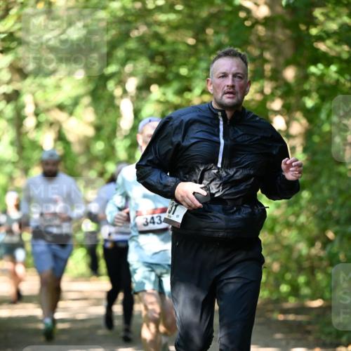 06.10.2024 - Bramfelder Halbmarathon 2024 Dr. Thomas Lammeyer http://msf.ph/oto/7342718 06.10.2024 10:53:53 Laufen 343 meine-sportfotos.de