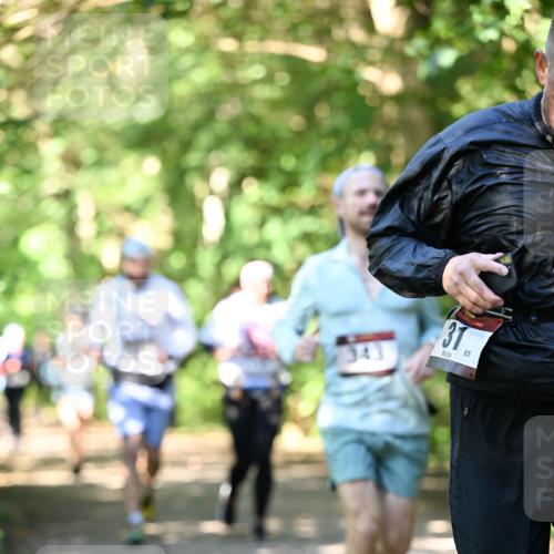 06.10.2024 - Bramfelder Halbmarathon 2024 Dr. Thomas Lammeyer http://msf.ph/oto/7342730 06.10.2024 10:53:54 Laufen 31, 65 meine-sportfotos.de