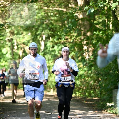 06.10.2024 - Bramfelder Halbmarathon 2024 Dr. Thomas Lammeyer http://msf.ph/oto/7342749 06.10.2024 10:53:56 Laufen 131, 130 meine-sportfotos.de