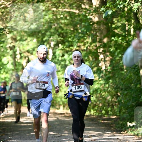 06.10.2024 - Bramfelder Halbmarathon 2024 Dr. Thomas Lammeyer http://msf.ph/oto/7342751 06.10.2024 10:53:56 Laufen 131, 130 meine-sportfotos.de