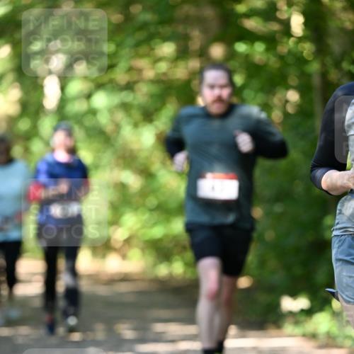 06.10.2024 - Bramfelder Halbmarathon 2024 Dr. Thomas Lammeyer http://msf.ph/oto/7342841 06.10.2024 10:54:05 Laufen  meine-sportfotos.de